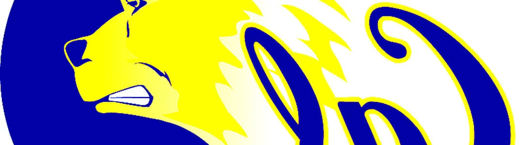 California Golden Bears