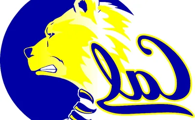 California Golden Bears